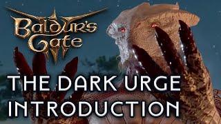 Baldur's Gate 3 - The Dark Urge 【Character introduction】