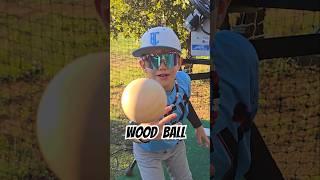 Wood ️ vs Baseball Bat #baseball #baseballlife #baseballswing #baseballplayer #9u