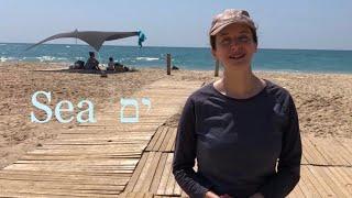 The Beach: Learn Hebrew Words with Avital Macales