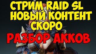 Стрим Raid Разбор акков, арена