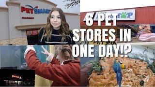 Going to SIX Pet Stores in ONE Day! | Pet Store Vlog W/ Taylor Nicole Dean + Emilee Rose