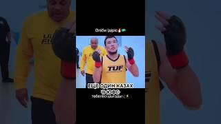Алиби Идрис еще один казах ЮФС #ufc #файтинг #mma #naiza #мма #nfc #бои #юфс #казах