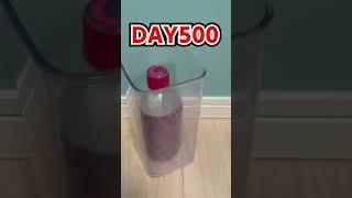 Daily Bottle Flip Challenge day 675 | GENN.