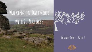 Walking with Z. Zeahorse - Dartmoor - Hound Tor - Part 1