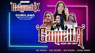 LIVE CAMELIA PELAN TAPI PASTI - ANNIVERSARY CAHPOSINX PENDEM KEMBANG JEPARA