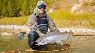 Catching Fall Steelhead - Low and Clear