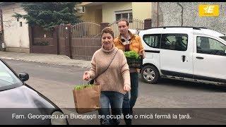 Micro-fermă de legume cultivate natural, la Tărtășești