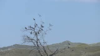 Valentine National Wildlife Refuge Sand Hills Nebraska