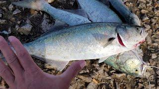 EXPLOSIVE FISHING TODAY SATURDAY (HELPFUL TIPS)