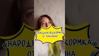 Народная подкормка Луканина #огородник #рассада #лайфхак #садовод