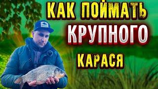 Бешеный клев КРУПНОГО КАРАСЯ Рыбалка на ФЛЭТ Фидер ловля карася