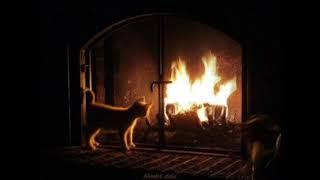 ASMR cozy fireplace crackling wood sounds