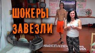 СерёгаTV | Первый день с шокерами