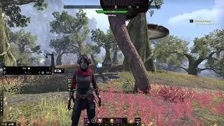 What Does Nya use? | Elder Scrolls Online Addons for PvE and PvP (Nightblade focus)