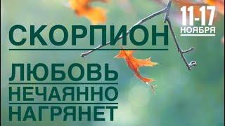 Скорпион ️ 11-17 ноября 2024 года ️️Таро Ленорман прогноз предсказания