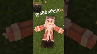 დამბარე დამბარე... #shelderson #minecraft #qartulad #shorts