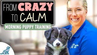 5 Things I Do With My Puppy Every Morning - Get Ready With Me