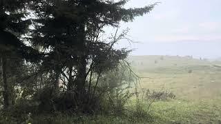 Rain in the mountains. Norshen. Անձրև լեռներում. Նորշեն. 26.7.2024