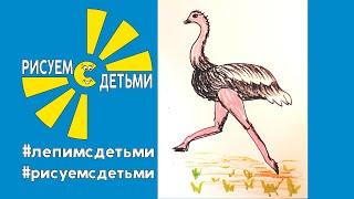 Как нарисовать СТРАУСА. Рисуем с детьми экзотических птиц. How to draw an OSTRICH.