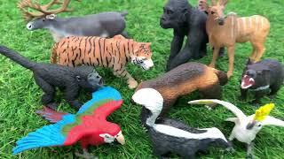 Learn to Count 1 to 10 with Toy Zoo Animals for Kids | Pinoy Kids Channel