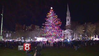 New Haven Tree Lighting: What you need to know