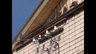 В селе Красный Яр Звениговского района привели в порядок электросети