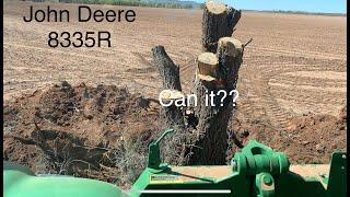 John Deere 8335R-VS Giant tree