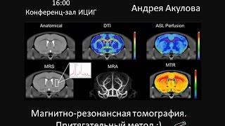 Андрей Акулов «Магнитно-резонансная томография: притягательный метод»