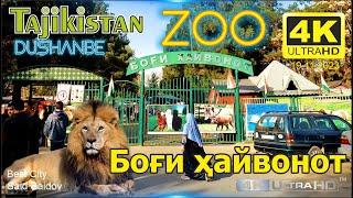 Dushanbe Tajikistan, Боги хайвонот, ZOO, Зоопарк, Said Saidov #tajikistan #dushanbe #zoo #зоопарк