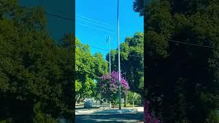 Streets in Toowoomba - Garden City of Queensland