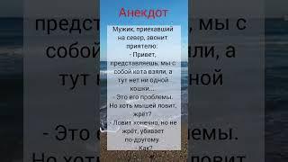 Анекдот как кот ловил мышек #shorts #приколы #шутки