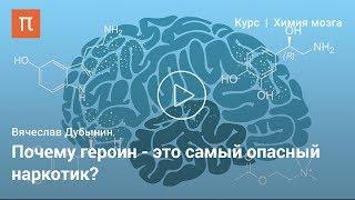Эндорфины — Вячеслав Дубынин