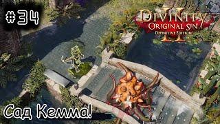 [episode #34] Divinity: Original Sin 2 - Сад Кемма в Арксе!