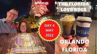 Day 4 Orlando Florida Disney Springs May 2022 The Florida Love Bugs