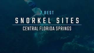 7 Best Places to Go Snorkeling in Central Florida | Crystal River manatees, Ginnie Springs, & more