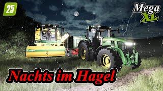 LS25: Nacht im Hagelsturm arbeiten | Mega XL Farm | 20 | FARMING SIMULATOR 25