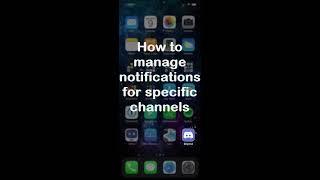 Manage Notifications on Discord (iPhone)
