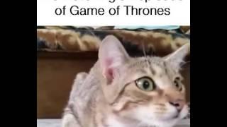 Me Watching An Episode of Game of Thrones