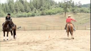 Impulsion and Control for Your Horse - Parelli Four Savvys FreeStyle