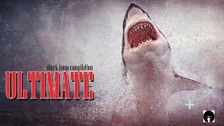 The ultimate SHARK JUMP and BREACHING compilation. Great White Sharks.