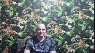Анонс стрима на ПредФИНАЛный стол Bounty Winter BLAST 88 230k$+ Gtd