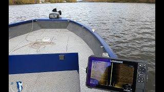 Windboat 45 EVO Fish дельфин