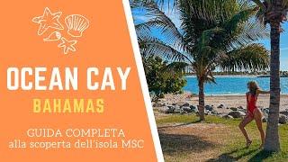 OCEAN CAY: cosa vedere nell'isola privata MSC alle BAHAMAS | Guida alle spiagge e consigli utili