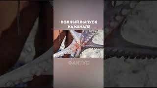 Животные Мутанты #Shorts