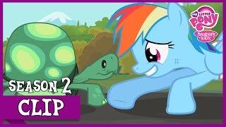 Tank Saves Rainbow Dash (May the Best Pet Win!) | MLP: FiM [HD]