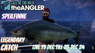 Speilfinne live 19 Dec Till 25 Dec 24 #COTWTheAngler