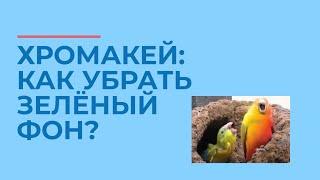 Как убрать зеленый фон? Работа с хромакеем.