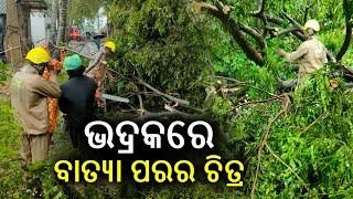 Cyclone Dana aftermath: Roads clearance underway as trees uprooted in Odisha's Bhadrak || KalingaTV