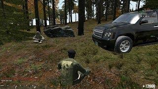 DayZmod:  Толкаем дурь и жарим кур))