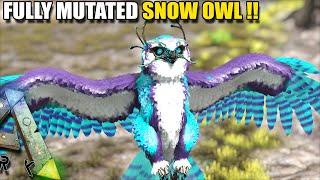 FULLY MUTATED SNOW OWL, HE'S A BEAST!  | ARK SURVIVAL EVOLVED EP15